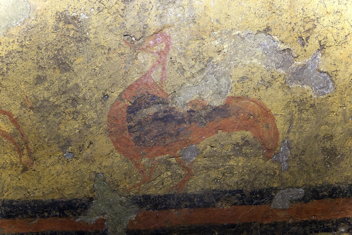 Tomba delle anatre