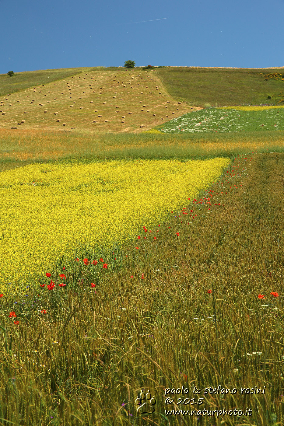Colfiorito - vista  Monte Orve